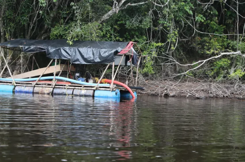  “La minería desplaza a los pueblos indígenas” de la Amazonía – Correo del Caroní
