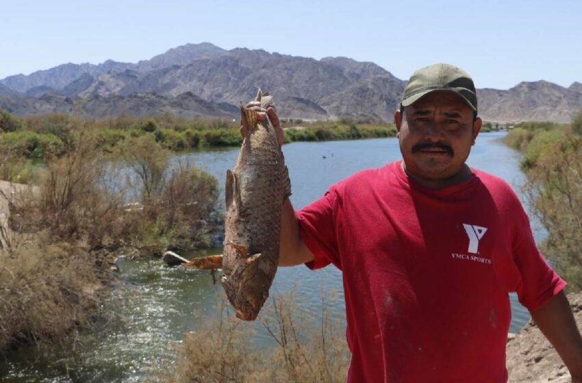  Alrededor del 50 % de los cucapáh han dejado la pesca – La Voz de la Frontera
