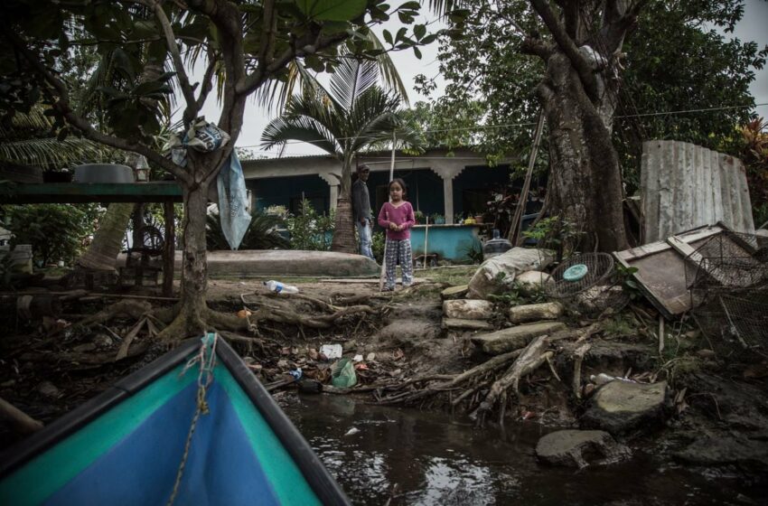  La falta de acceso a agua limpia amenaza Bajo Papaloapan, cuna de la cultura jarocha