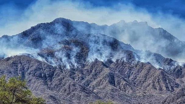  Alertan por incendios en el sur de Sonora – Diario del Yaqui