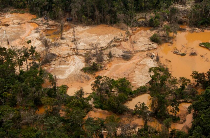  Clima 21: Al menos 33 ríos de la Amazonía venezolana están contaminadas por la minería