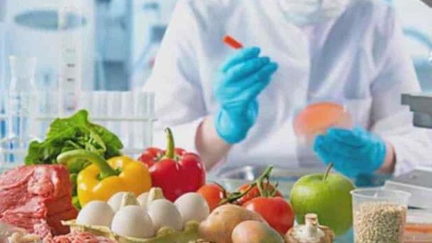  ¡Plomo en alimentos! Científicos emiten alerta