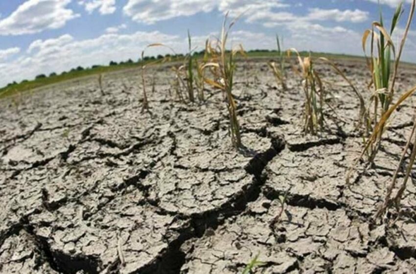  Alerta: Pese a lluvias de la temporada, Sonora atraviesa sequía extrema, dice Conagua