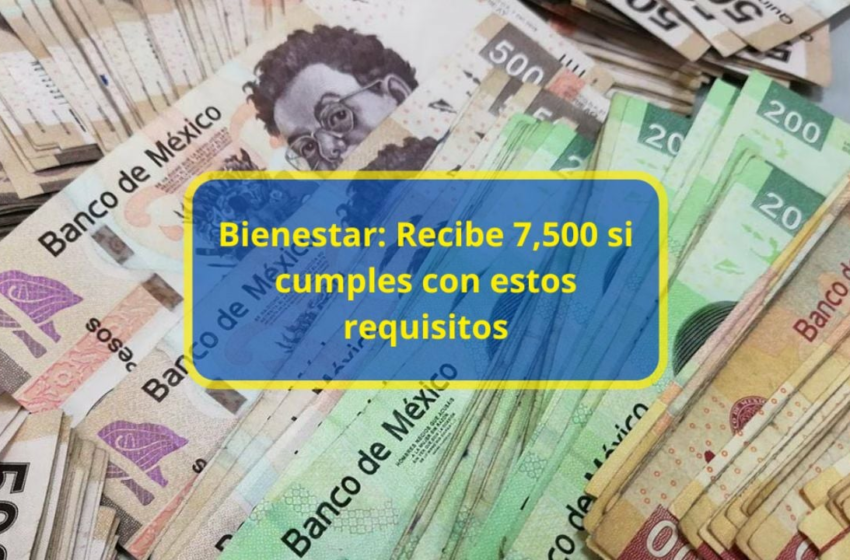  Bienestar: Recibe 7500 si cumples con estos requisitos – La Mejor FM