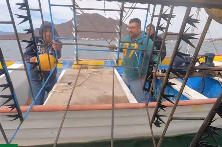  Realizan prueba exitosa de jaula anti tiburones para pescadores en Sonora