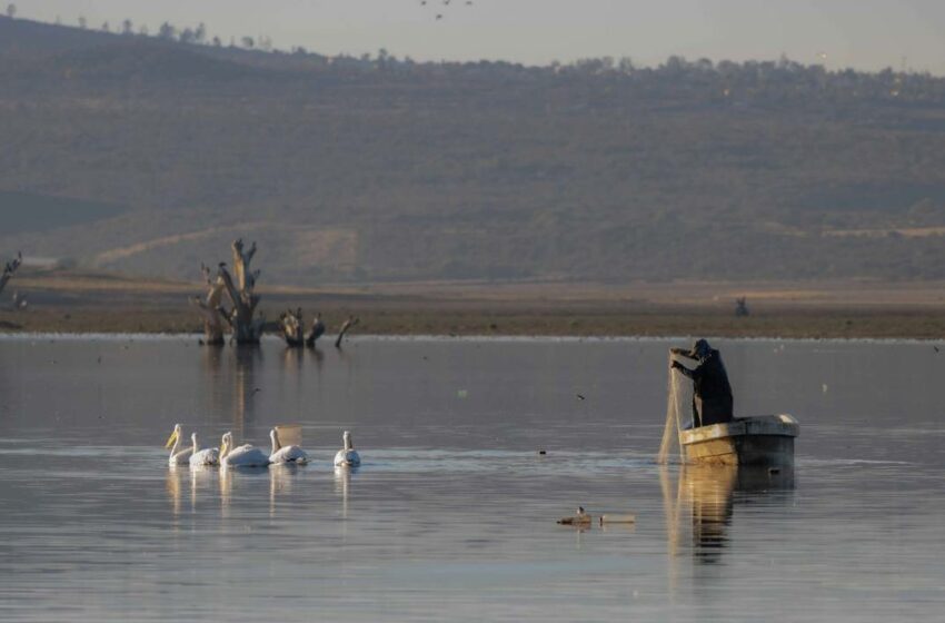  Productores de La Estancia afirma que su situación es crítica – El Sol de San Juan del Río