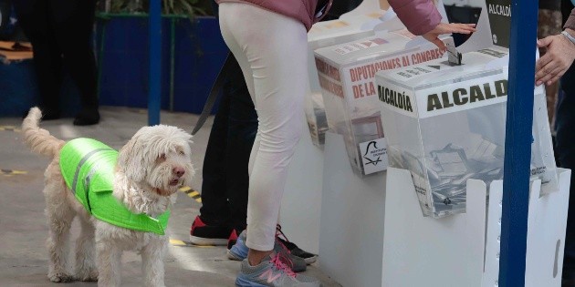  López Obrador garantiza que habrá elecciones limpias y libres