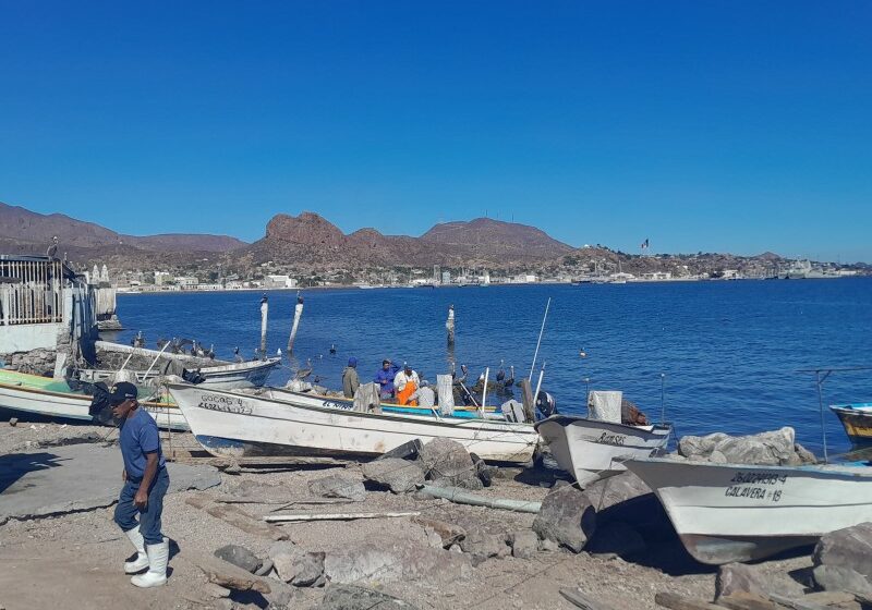  Se preparan pescadores para realizar paseos en Bahia de Guaymas – meganoticias