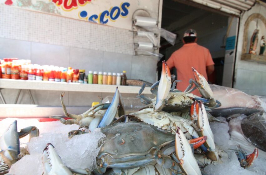  Estiaje y sobrecaptura acaban con jaiba natural en Tampico – Milenio