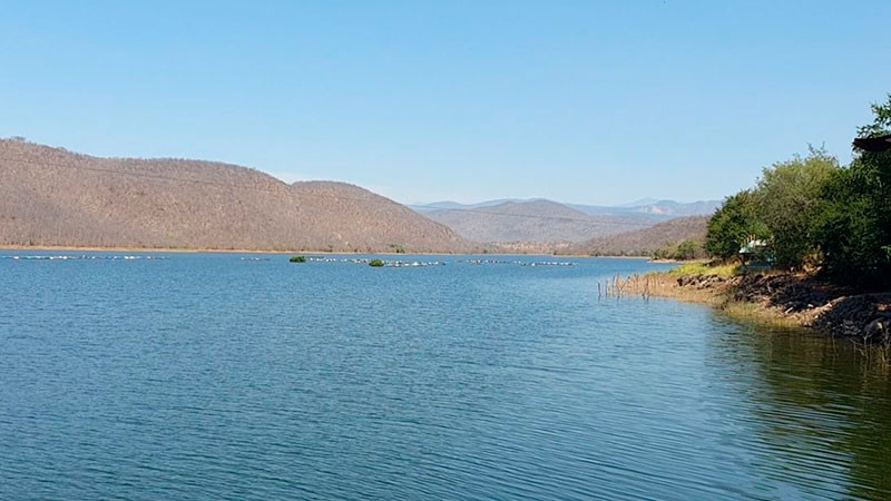  Pesca en la reserva de la biósfera Zicuirán Infiernillo en declive: biólogo – Noventa Grados