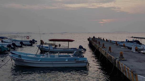  Pescadores de Veracruz no sacan ni para la gasolina; no hay arribazón