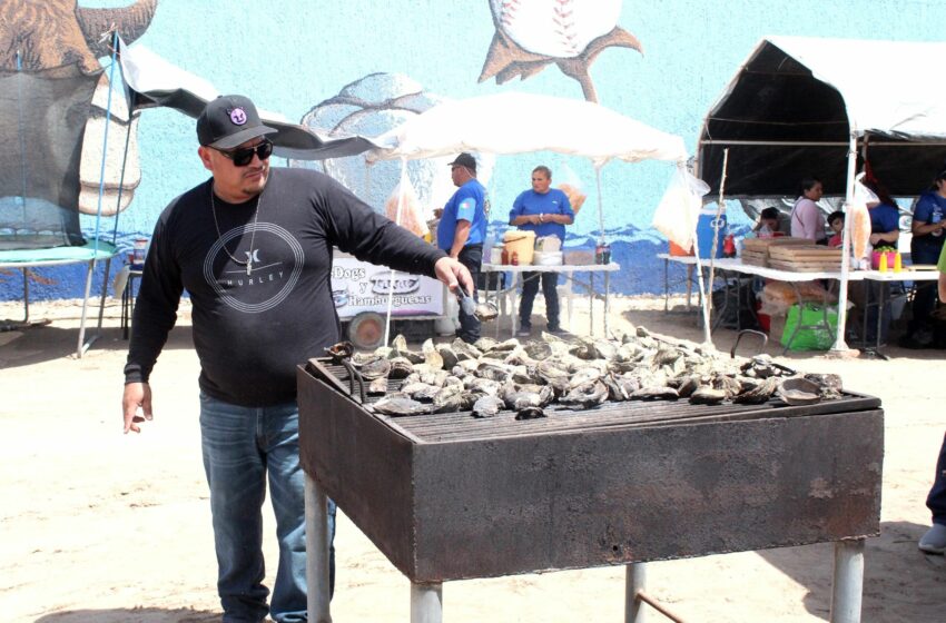  Descubre el sabor del mar en el Tercer Festival del Ostión – Diario Humano