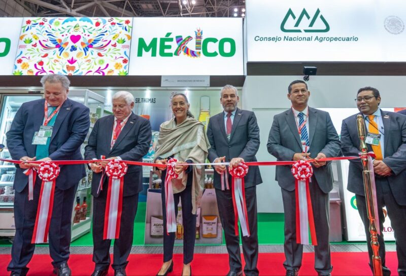  Productos guanajuatenses presentes en importante feria de Japón – El Pípila