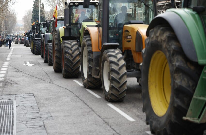  Nos plantamos: por un modelo alimentario centrado en las personas y la tierra – EL PAÍS