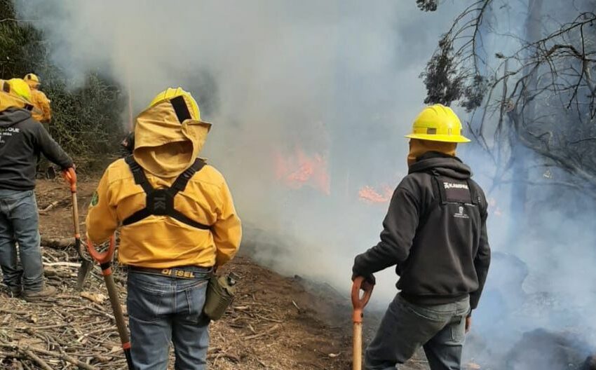  Van 594 incendios forestales en CDMX: Secretaría del Medio Ambiente – El Universal