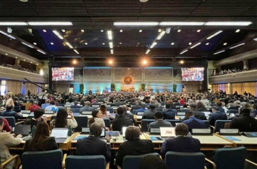  Cierra asamblea sobre medio ambiente centrada en el multirateralismo – Prensa Latina