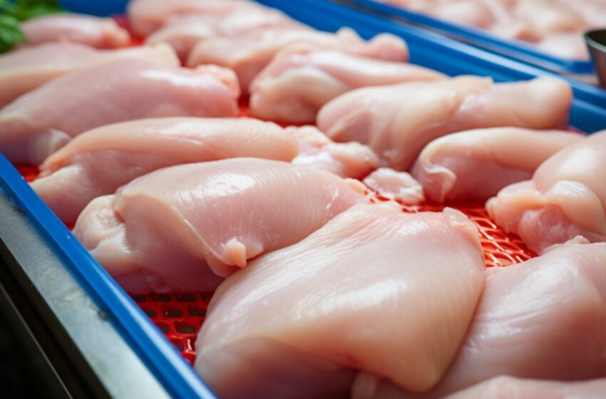  Paraguay: Exportaciones de carne de ave disminuyen un 25% en primer bimestre de 2024