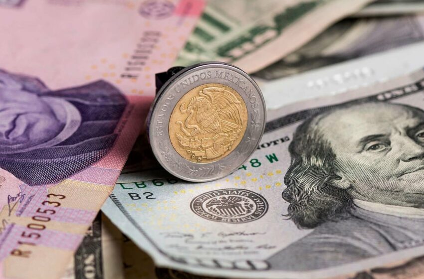  Precio del dólar, 24 de marzo 2024: cuál es el tipo de cambio en México
