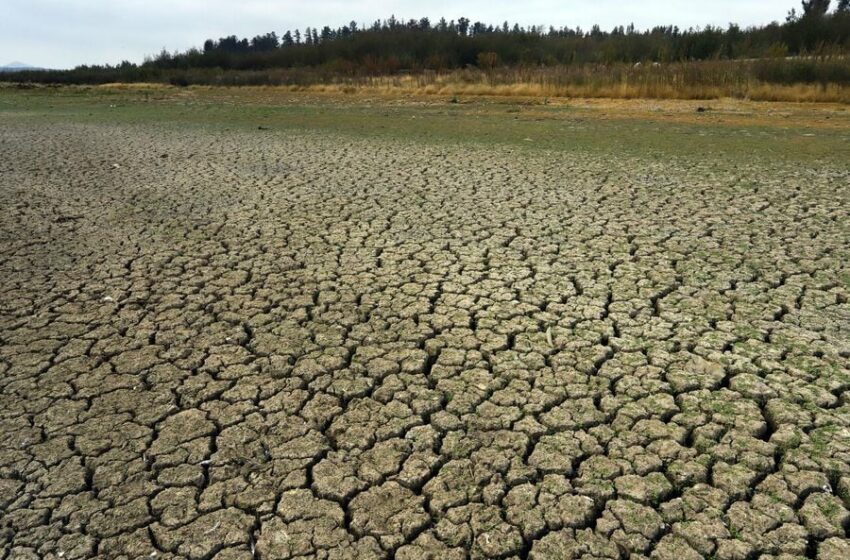  ¿Qué es el fenómeno de La Niña Costera y cuáles serían sus efectos en Chile? – La Tercera