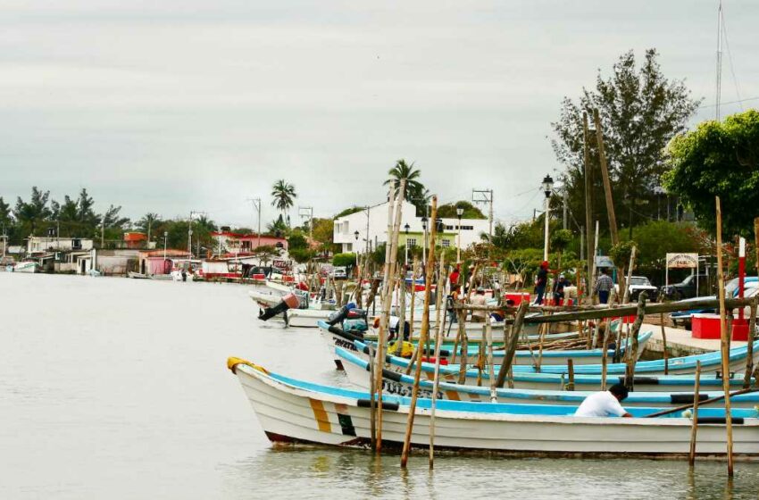  Diez playas en Veracruz – El Heraldo de Tuxpan