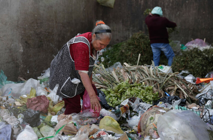  Informa ONU sobre el desperdicio de alimentos en 2022 – Almomento.mx