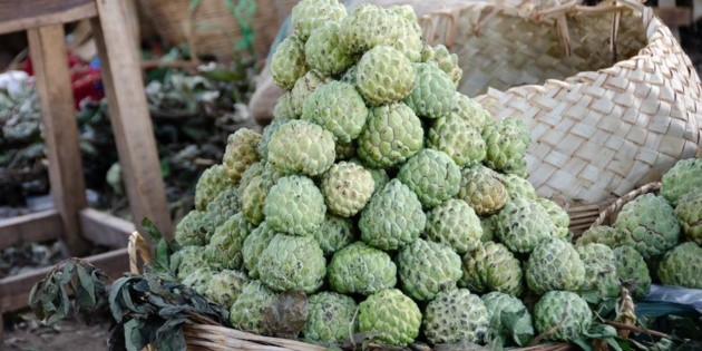  Esta es la mejor fruta para prevenir la retención de líquidos – Informador.mx