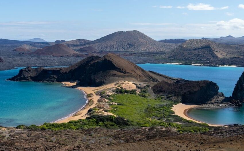  Científico mexicano investigará el impacto a las especies en las islas Galápagos por los … – Omnia