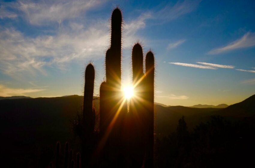  Clima en Sonora: Habrá heladas, fuertes vientos y tolvaneras este Viernes Santo; Conagua