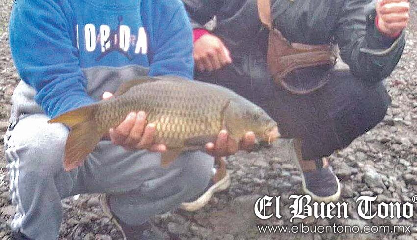  Rescate de peces en el Chirimoyo, ante sequía inminente – El Buen Tono