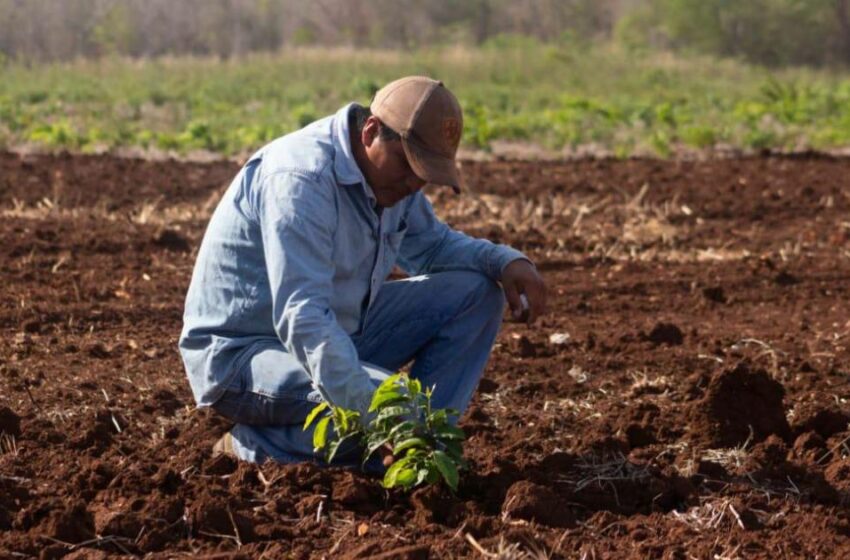  Urgen a candidatos presidenciales propuesta serias contra crisis en el agro – Periódico Noroeste