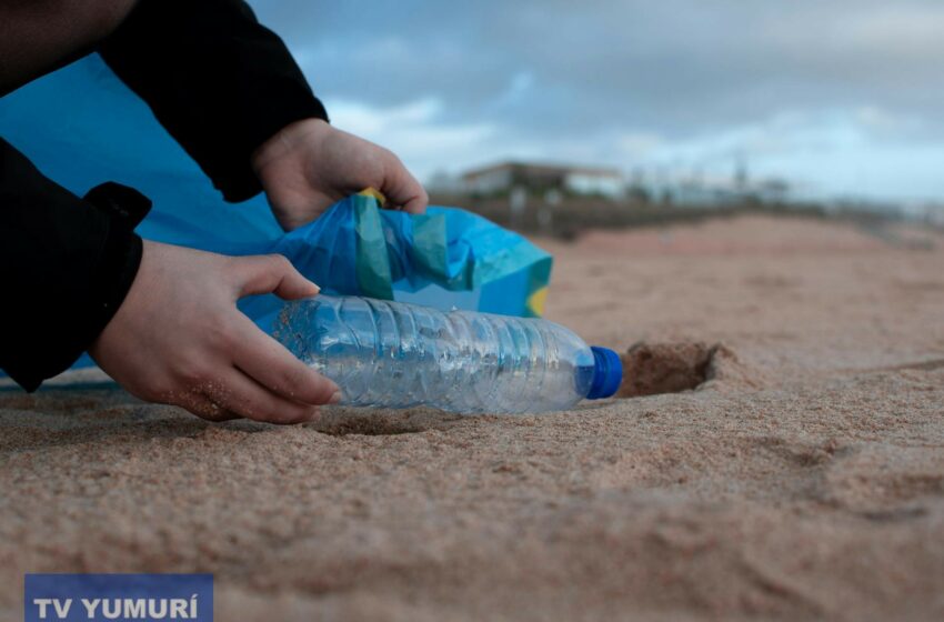  De Cero desechos, conciencia y medio ambiente – TV Yumurí