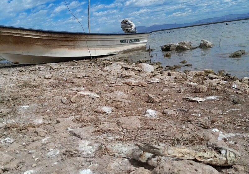  Sequía de la presa Eustaquio Buelna acaba con la pesca – meganoticias