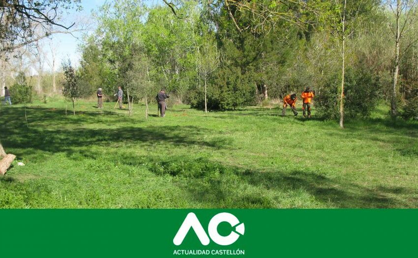  Medio Ambiente realiza 77 repoblaciones educativas con motivo del Día del Árbol en la …