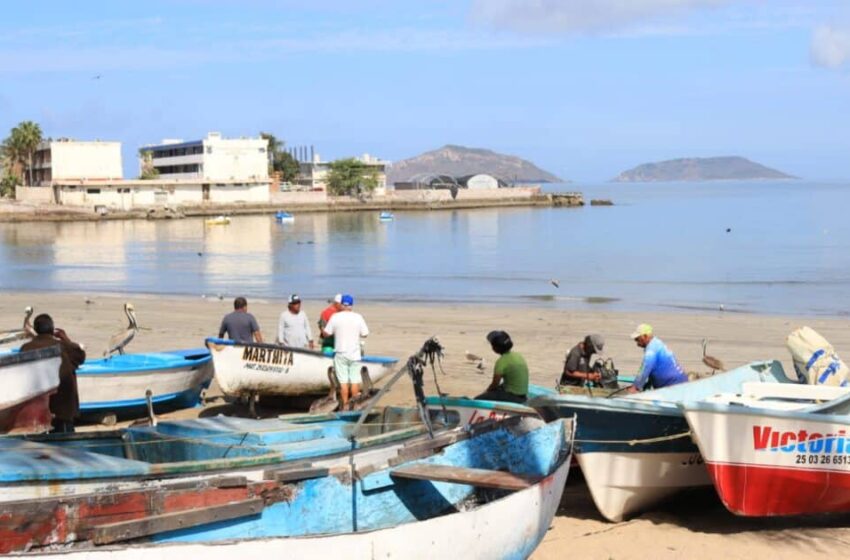  Pescadores de Mazatlán llevan días sin poder zarpar altamar por fuertes vientos