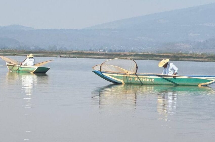  Pescadores solicitan apoyo de la Marina para limpiar Lago de Pátzcuaro