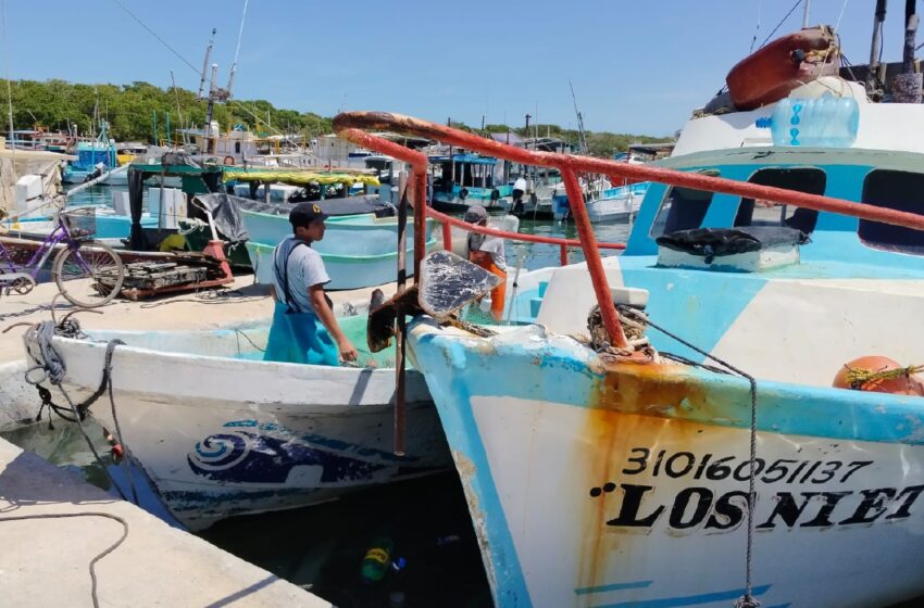  No son yucatecos quienes mantienen la pesca furtiva – Diario de Yucatán