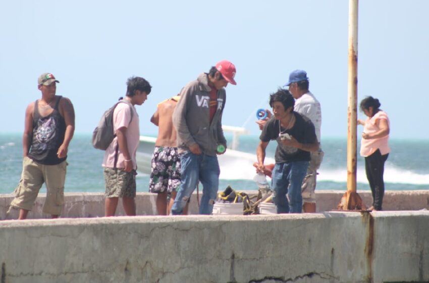  Despedida multitudinaria – Diario de Yucatán