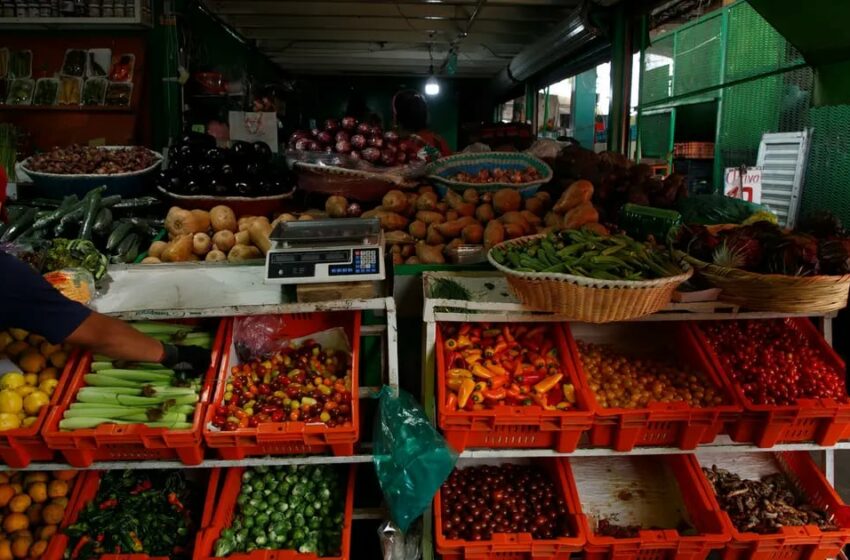  Alza en hortalizas le 'pega' a inflación en Sonora – El Imparcial