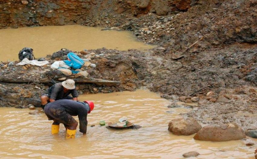  Tambopata perdió área de bosques equivalente a Chosica por la minería ilegal – Gestión