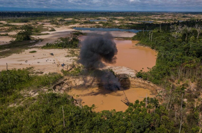  El crimen organizado se internacionaliza: los vínculos con la minería ilegal en Brasil …