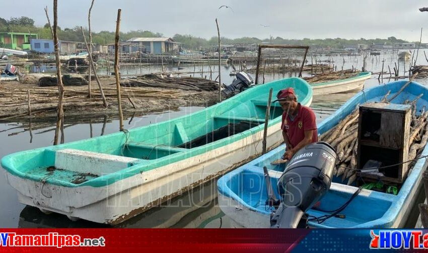  Pescadores de la Laguna Madre en San Fernando no sacan ni para gastos – Hoy Tamaulipas