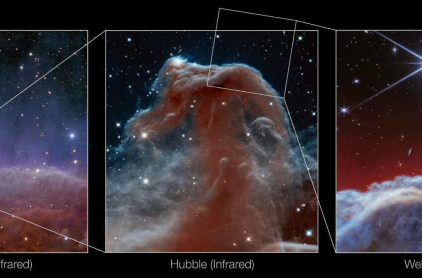  Telescopio espacial James Webb capta la nebulosa “cabeza de caballo” con un detalle sin precedentes