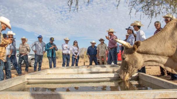  Garantizado el abasto de agua para ganado en Sonora – Diario del Yaqui