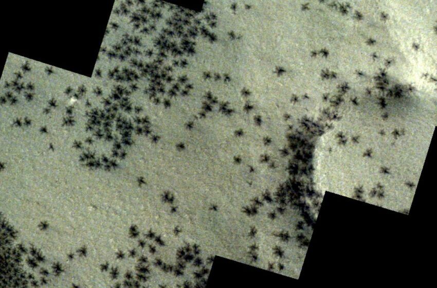  Las misteriosas «arañas» de Marte captadas en el polo sur del planeta rojo