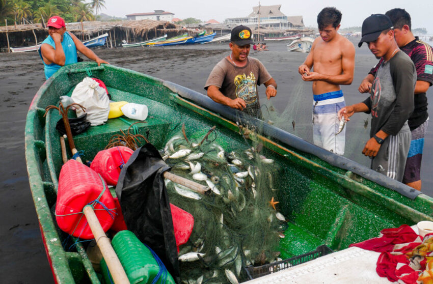  Consorcios pesqueros españoles impactan pesca artesanal en América Central