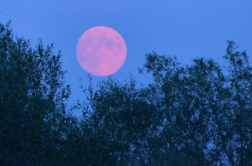  ¿Qué es la luna rosa y por qué pasa en abril?