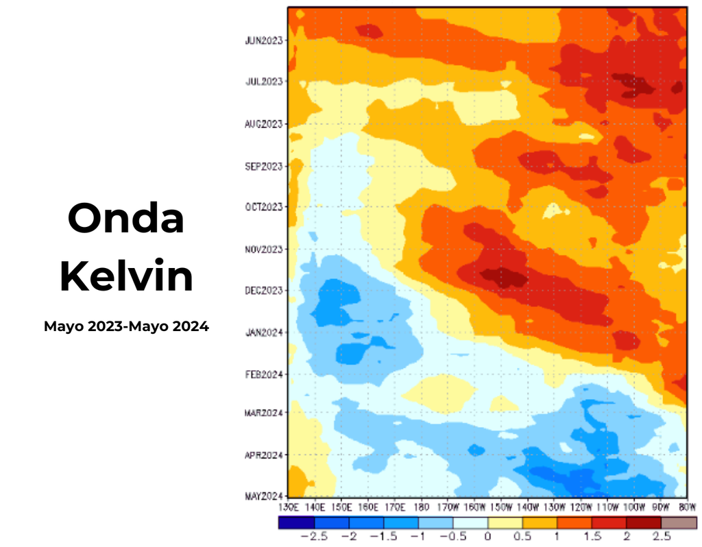 Anomalía de calor. Onda Kelvin.