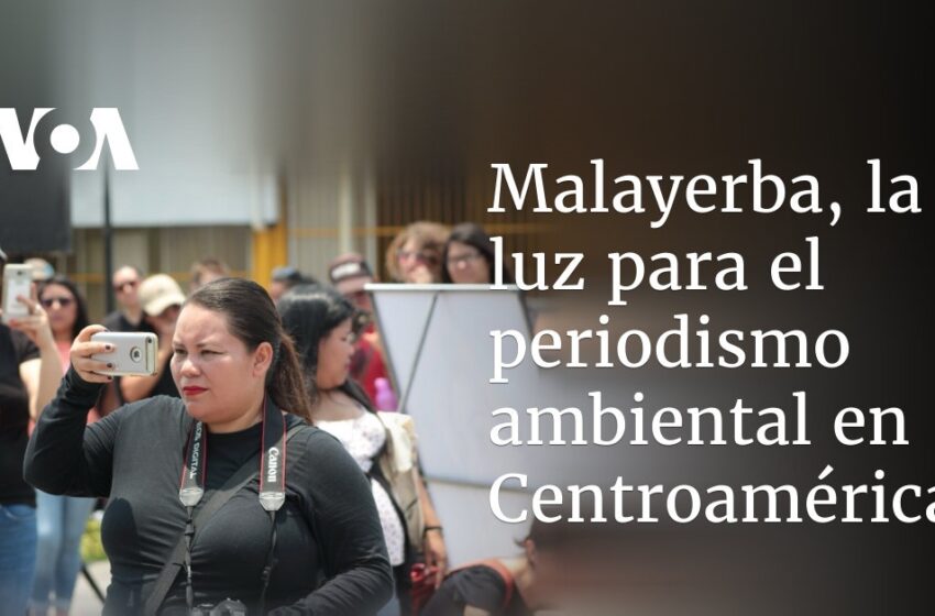  Malayerba, la luz para el periodismo ambiental en Centroamérica – Voz de América