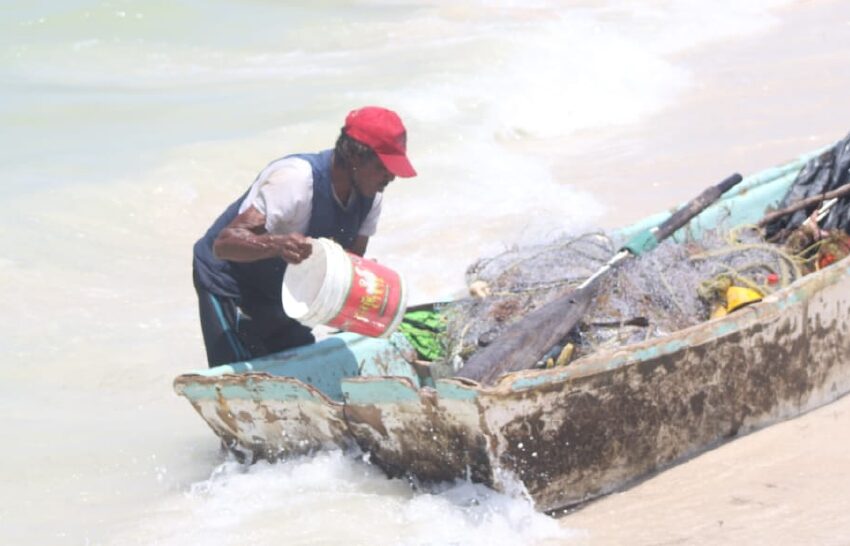  Los pescadores se alistan para que "cordonazo" no les sorprenda – Diario de Yucatán
