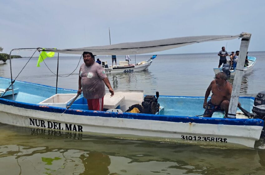  Depredación sin freno: dejan ir a saqueadores para evitar conflictos en Río Lagartos